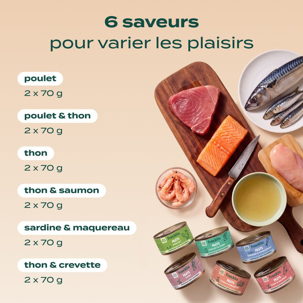MULTIPACK FILETS 6 SAVEURS