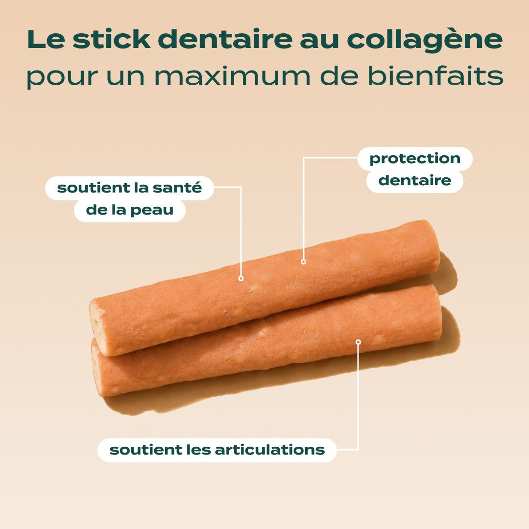 STICKS COLLAGÈNE