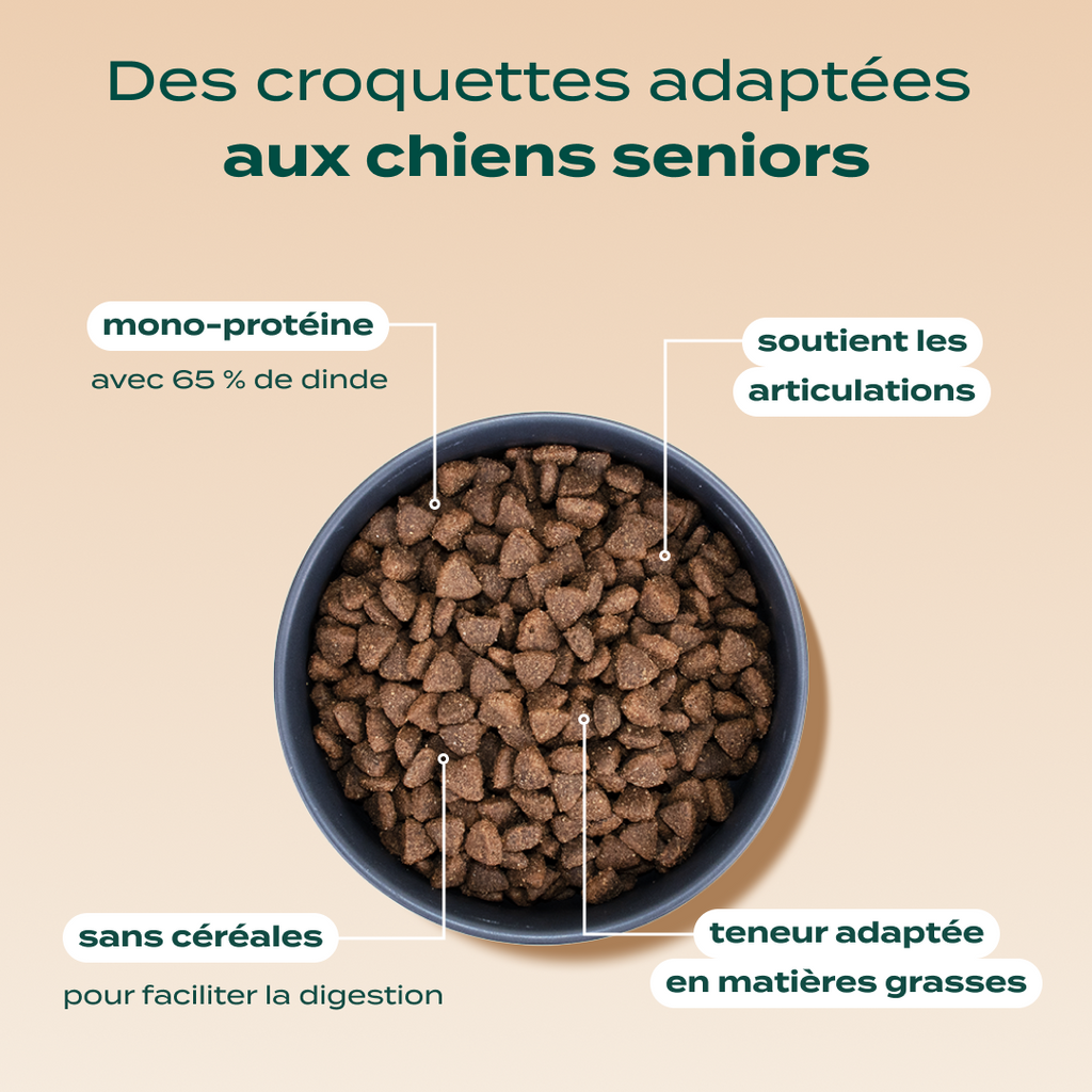 DINDE, COURGE, POIRE