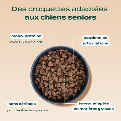 DINDE, COURGE, POIRE