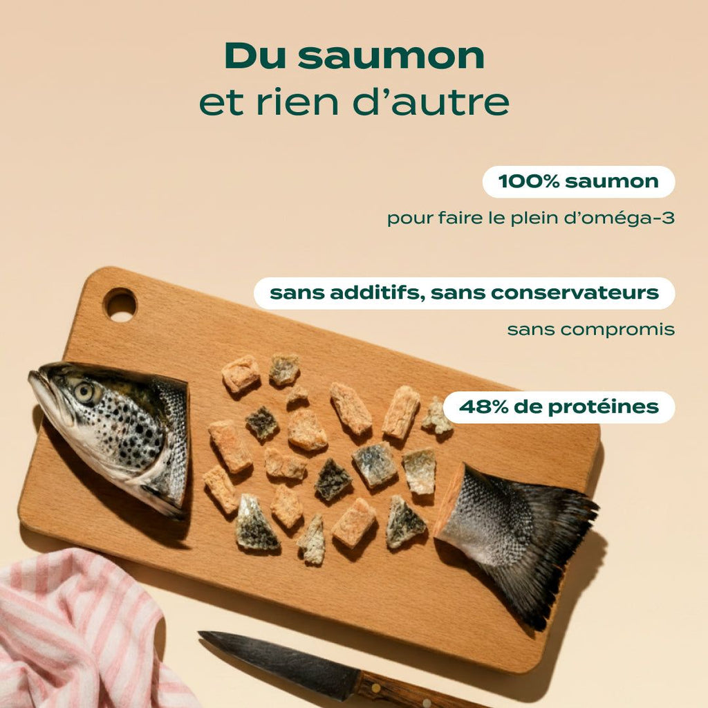SNACK SAUMON