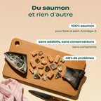 SNACK SAUMON